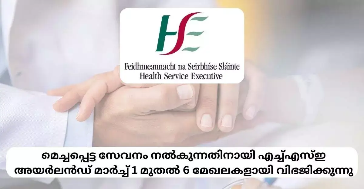 മെച്ചപ്പെട്ട സേവനം നൽകുന്നതിനായി HSE മാർച്ച് 1 മുതൽ 6 മേഖലകളായി വിഭജിക്കുന്നു