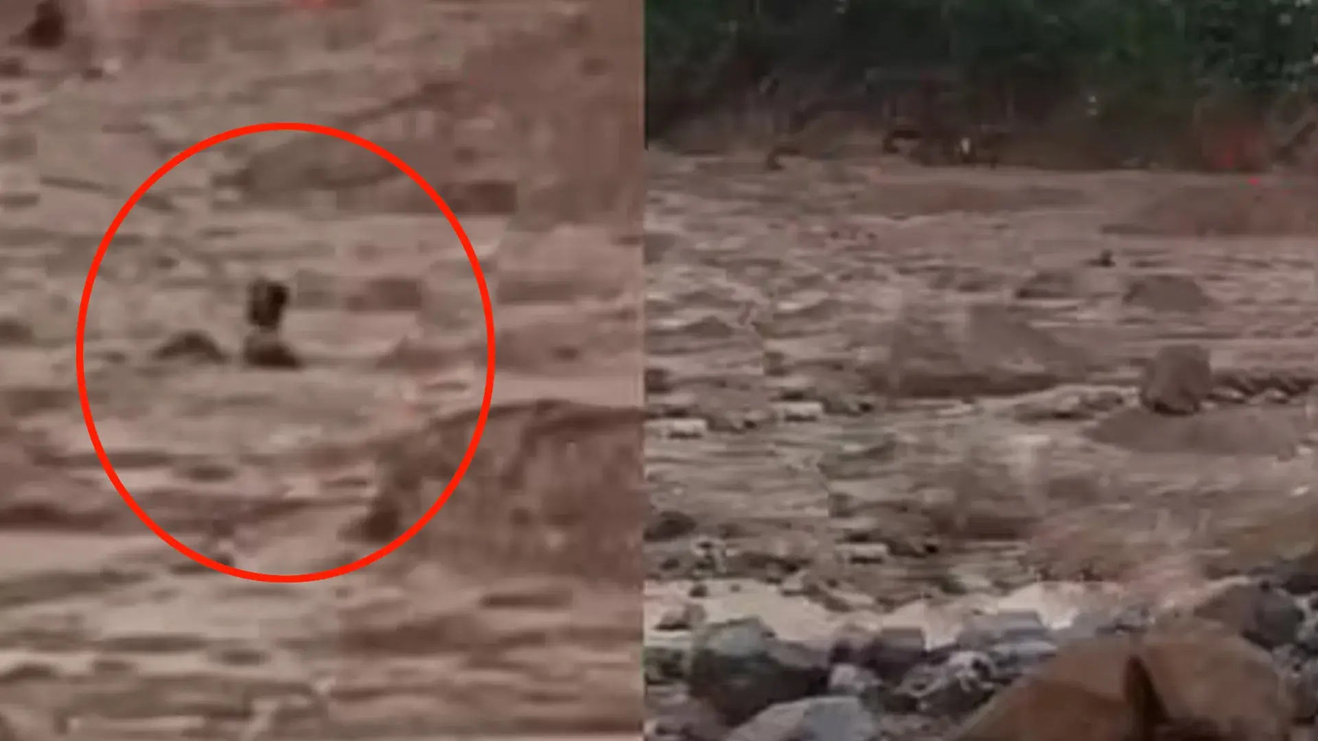 wayanad-landslide-rescue-operation