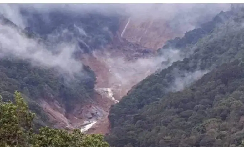wayanad-disaster-310-hectares-of-crops-were-destroyed